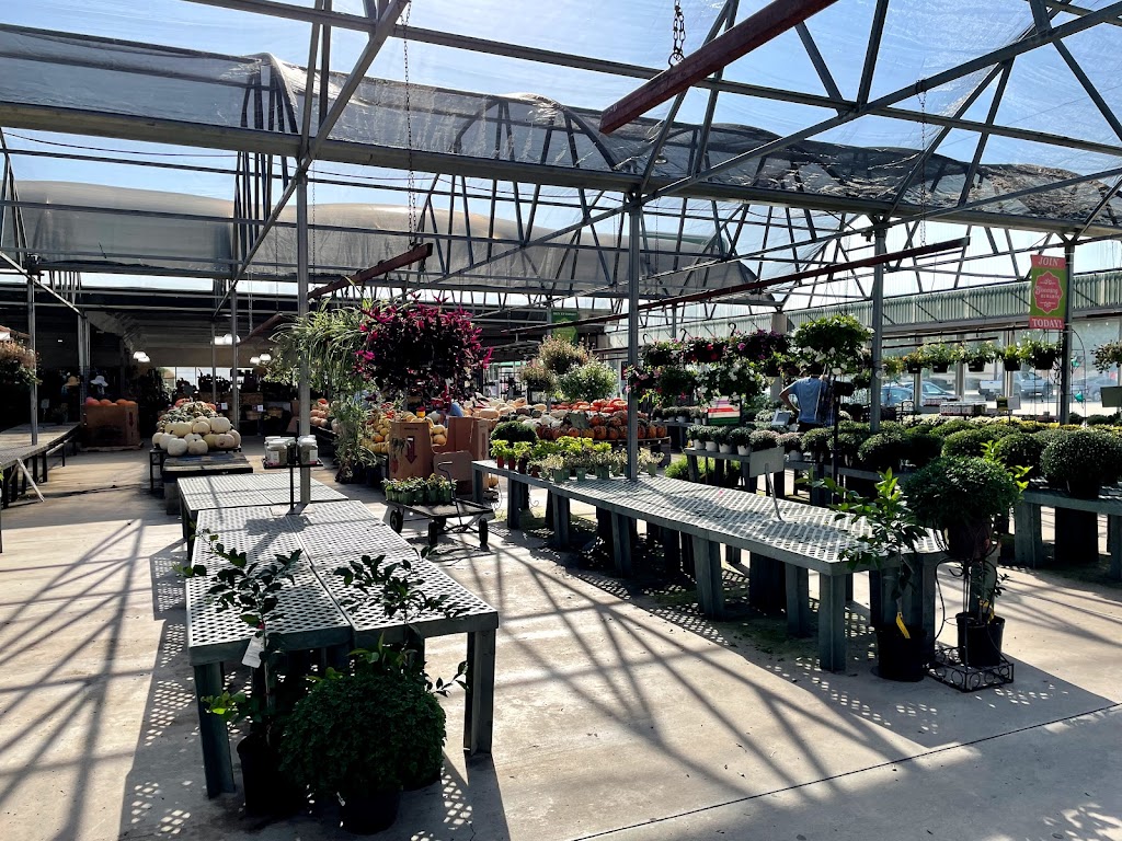 Calloways Nursery | 423 E Round Grove Rd, Lewisville, TX 75067, USA | Phone: (972) 315-3133