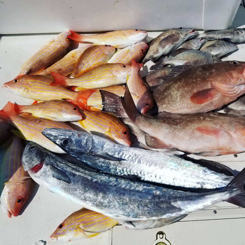 Seafood Charters | 752 Manatee Ave, Holmes Beach, FL 34217, USA | Phone: (941) 224-3320