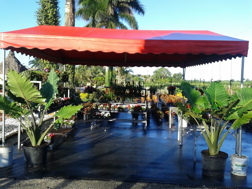 GREEN LAKE NURSERY | 20500 SW 177th Ave, Miami, FL 33187 | Phone: (305) 970-2222