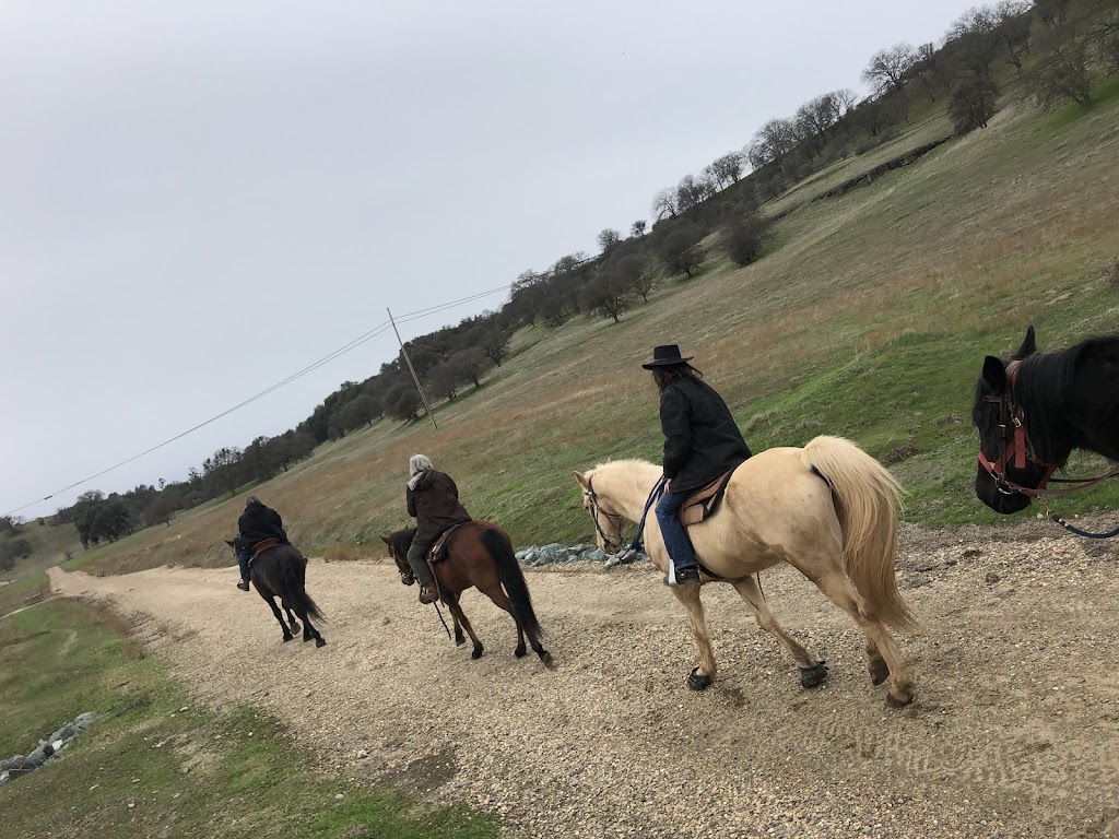 4 Horse Ranch | 2911 Patriot Way, Valley Springs, CA 95252, USA | Phone: (925) 586-5447 4 Horse Ranch | 2911 Patriot Way, Valley Springs, CA 95252, USA | Phone: (925) 586-5447