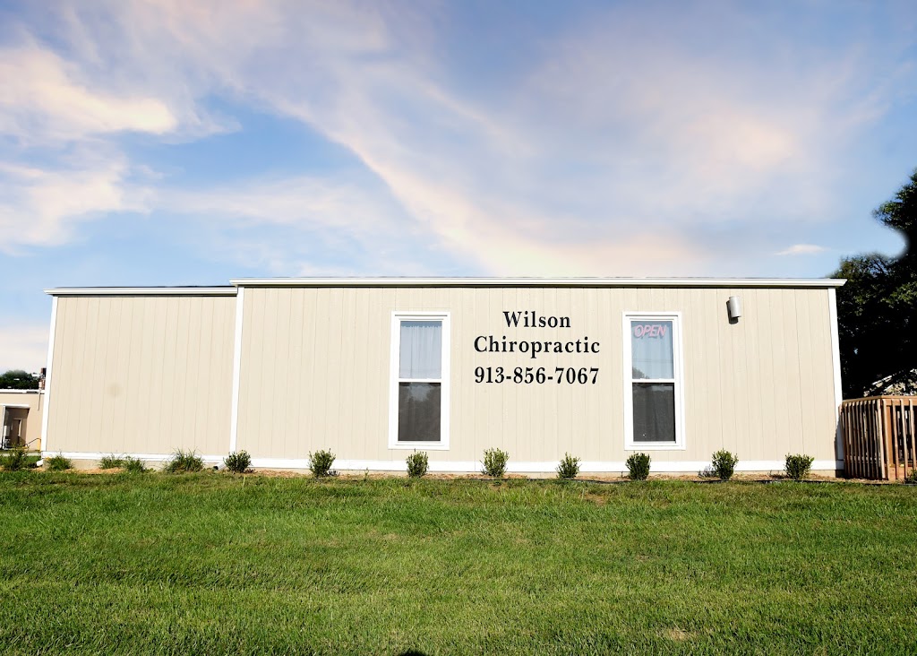 Wilson Chiropractic | 122 E Park St, Gardner, KS 66030, USA | Phone: (913) 856-7067