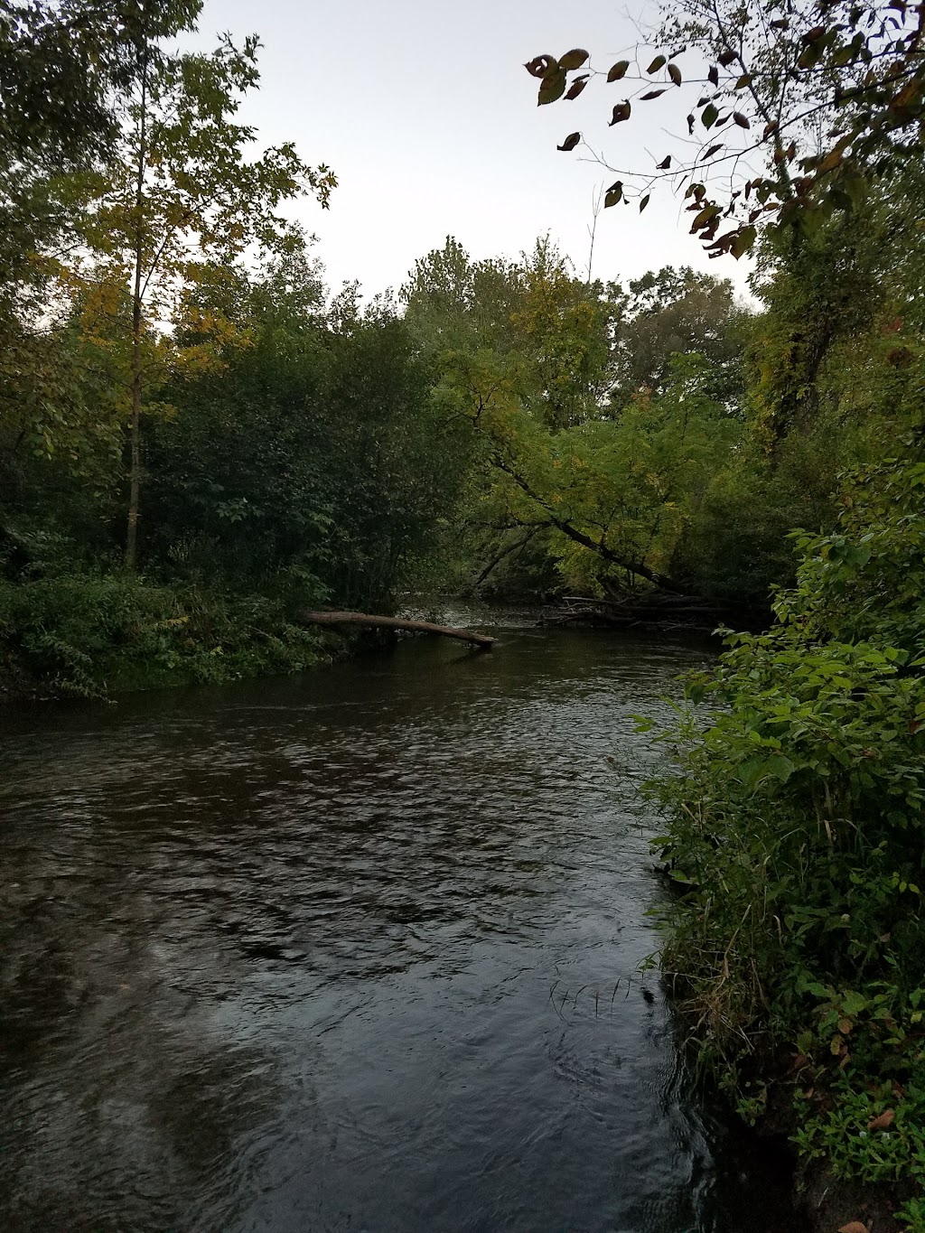 Paint Creek Heritage Area - Wet Prairie | Paint Creek Trail, Oakland Charter Township, MI 48306, USA | Phone: (248) 651-7810