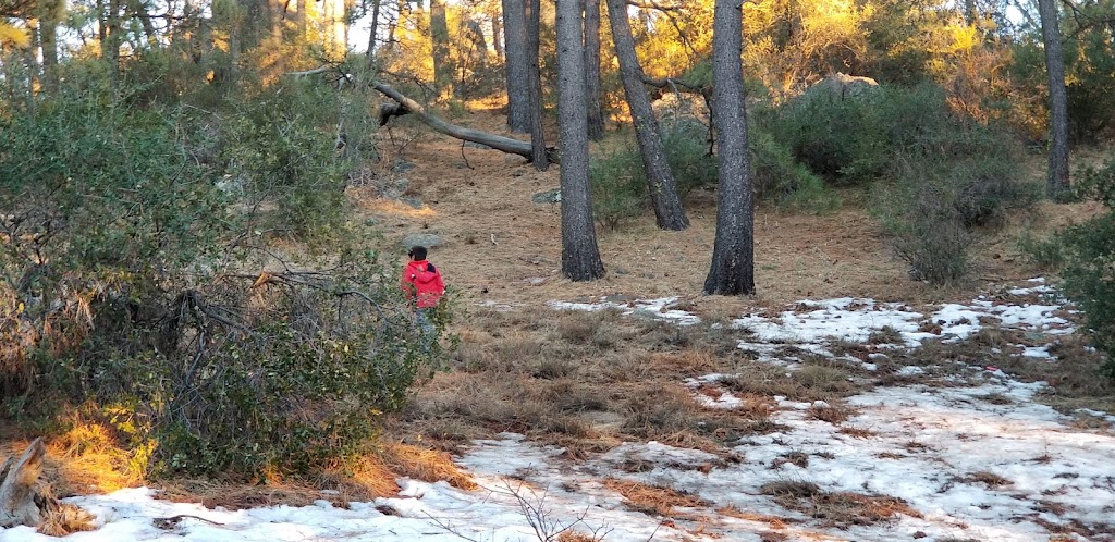 Meadows Information Kiosk Trailhead | Mt Laguna, CA 91948, USA | Phone: (858) 673-6180