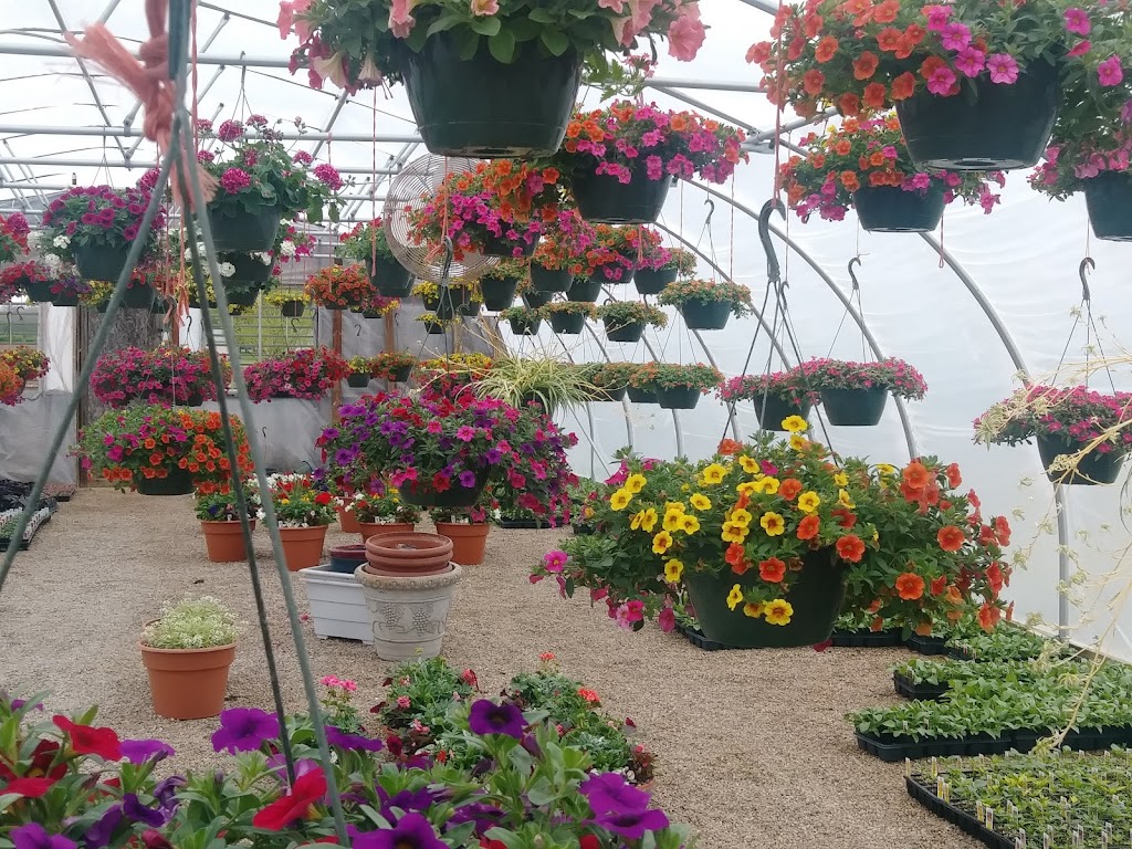 Engels Landscaping Center | 15810 Lockbourne Eastern Rd, Ashville, OH 43103, USA | Phone: (740) 983-9110