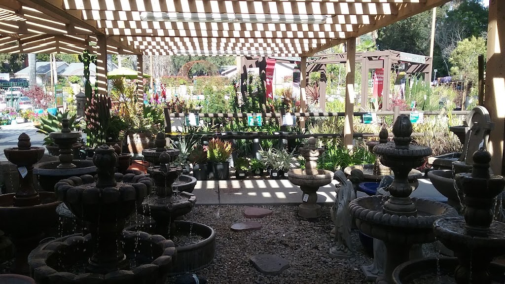 Armstrong Garden Centers | 28992 Golden Lantern, Laguna Niguel, CA 92677, USA | Phone: (949) 495-7205