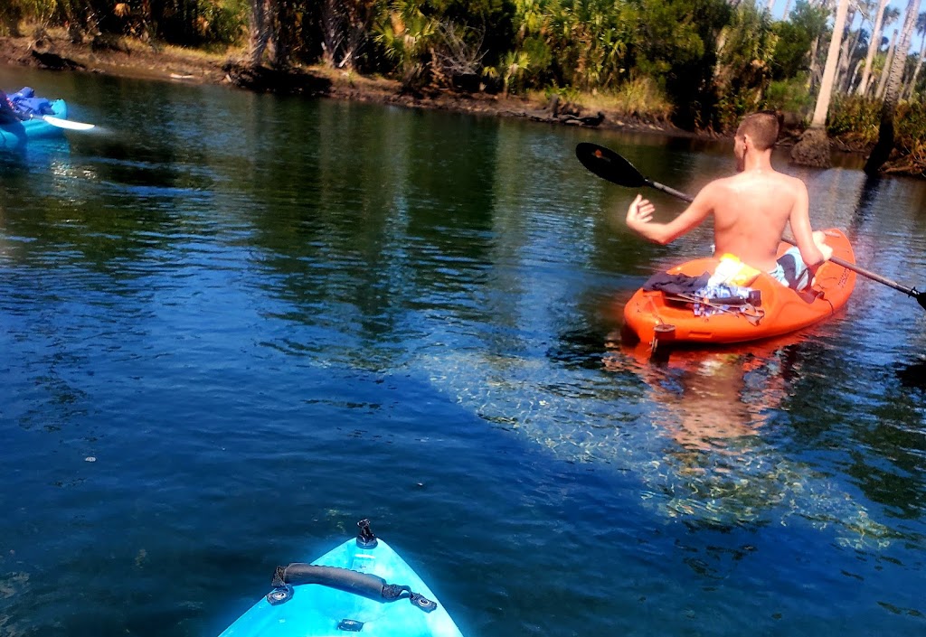 Coconut Kayak Tours | 715 Gulf Blvd, Indian Rocks Beach, FL 33785, USA | Phone: (727) 238-1960