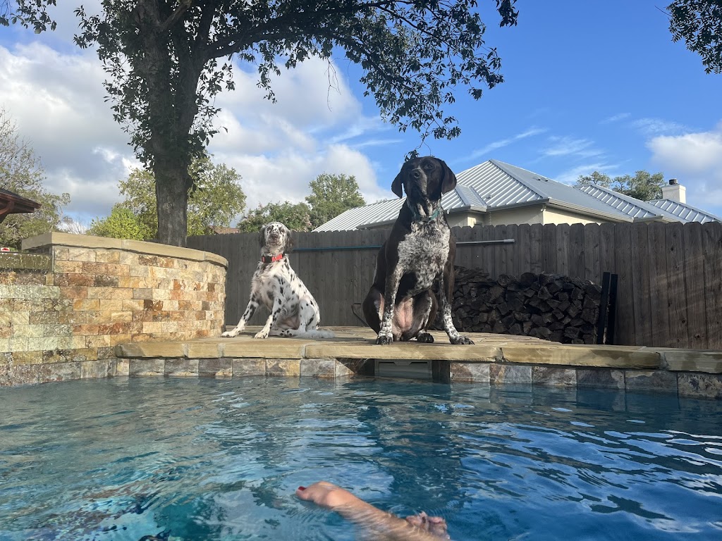 Kendall County Veterinary Center | 141 TX-46, Boerne, TX 78006, USA | Phone: (830) 336-2041