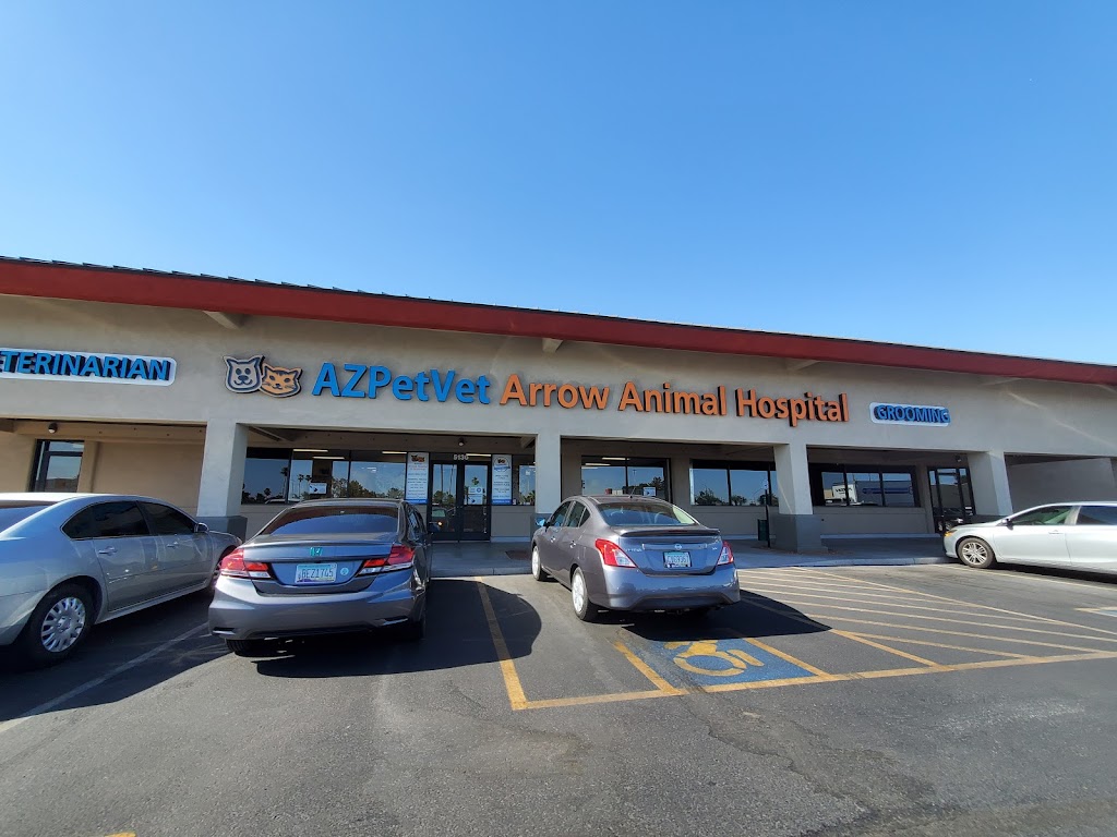 Arrow Animal Hospital PLC: Payton Willow DVM | 5130 W Thunderbird Rd, Glendale, AZ 85306, USA | Phone: (602) 938-2707