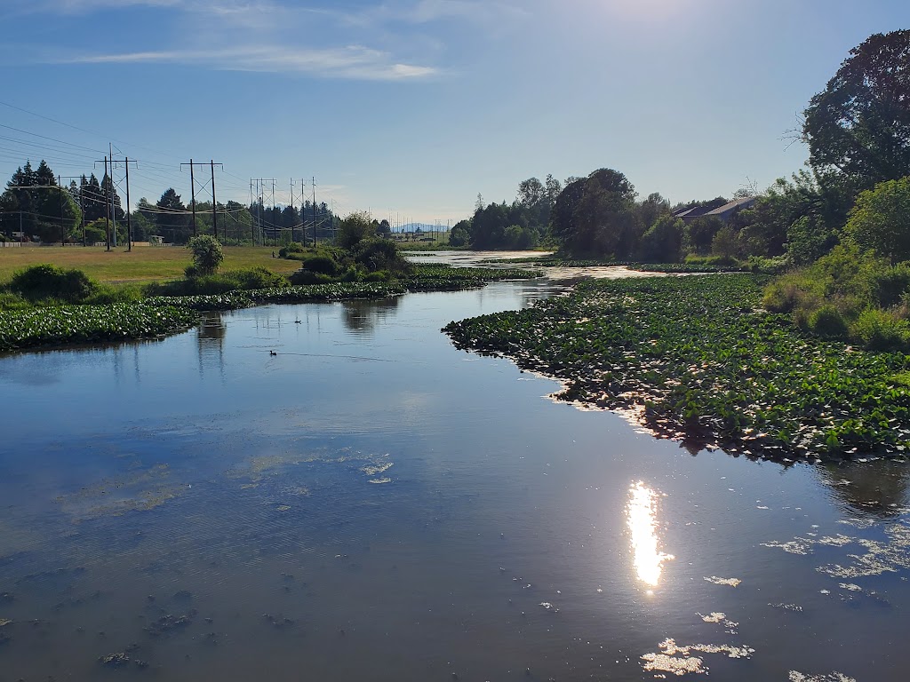 Bethany Lake Park | 5061 NW 185th Ave, Portland, OR 97229, USA | Phone: (503) 645-6433