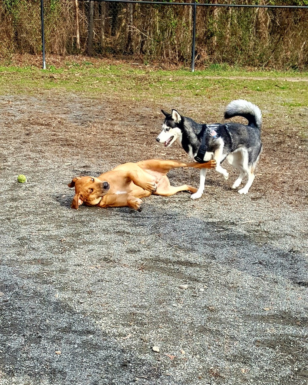 Grist Mill Dog Park | 4710 Mount Vernon Memorial Hwy, Alexandria, VA 22309, USA | Phone: (703) 324-7329