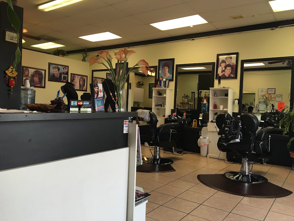 Vision Hair Salon | 2000 Esters Rd # 204, Irving, TX 75061, USA | Phone: (972) 790-5163