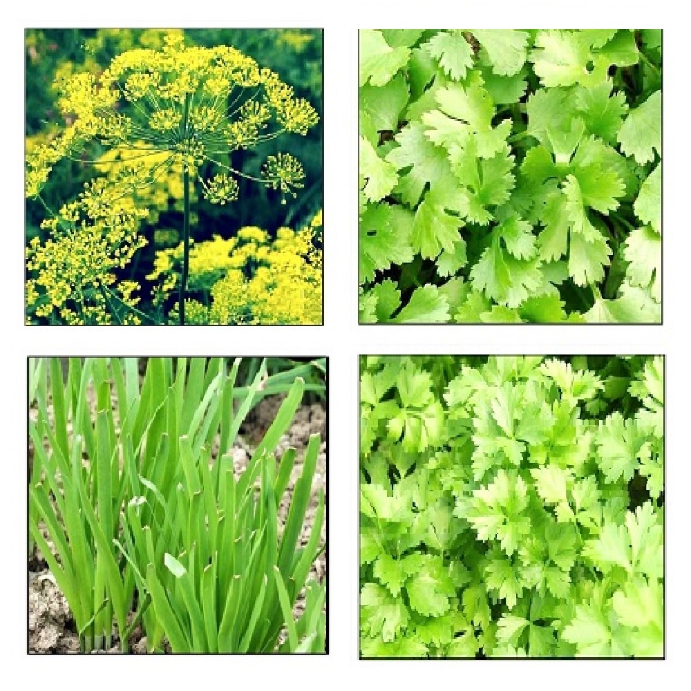 Instant Latch | 1166 97th Ln NW, Coon Rapids, MN 55433, USA | Phone: (612) 220-5618