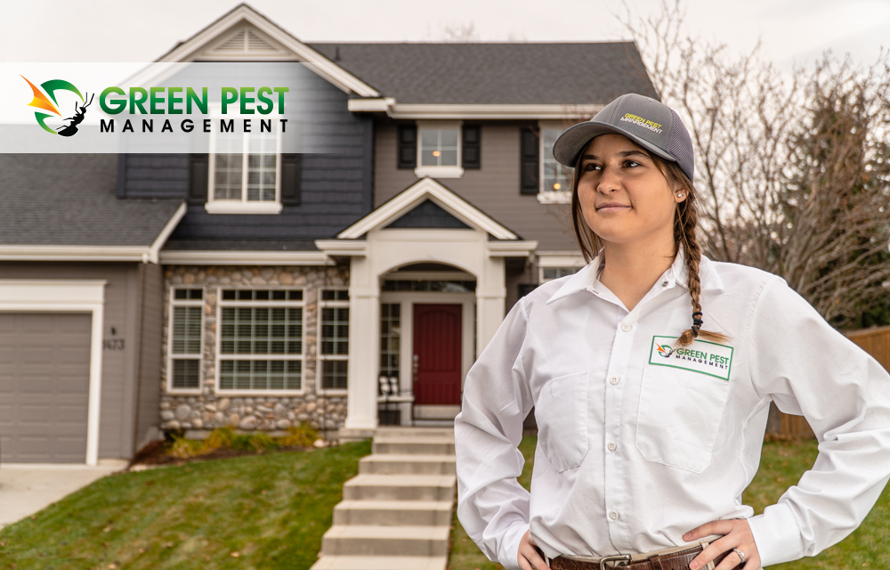 Green Pest Management | 18 Boulden Cir #22, New Castle, DE 19720, USA | Phone: (302) 317-2187