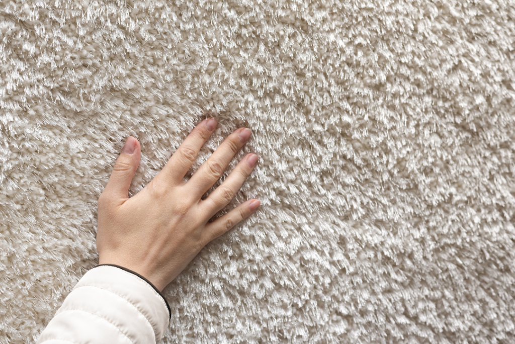 A Clean Carpet Co Inc | 5531 Freeland Ave Lower Suite #1, Freeland, WA 98249, USA | Phone: (360) 321-0585