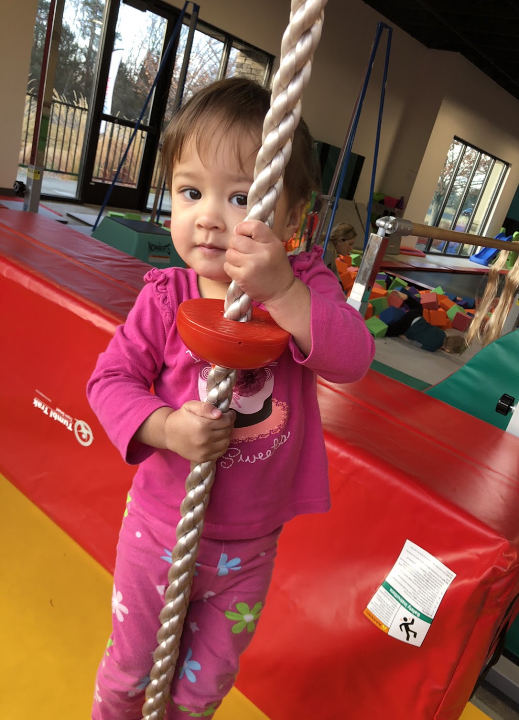 The Gym Nest Gymnastics and Preschool | 17 N Fisher Park Way, Eagle, ID 83616 | Phone: (208) 278-2011