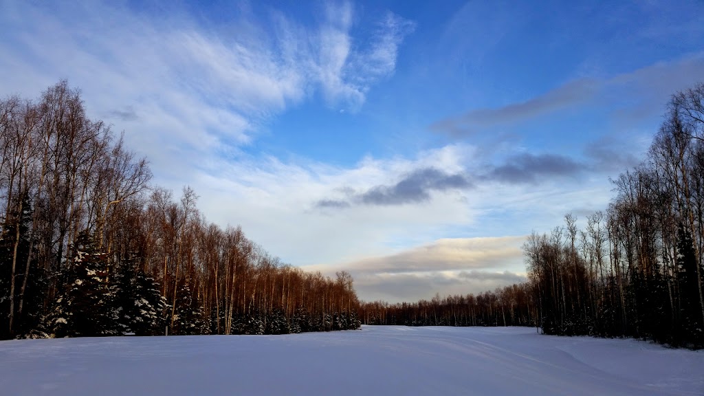 Settlers Bay Golf Course | 7307 S Frontier Dr, Wasilla, AK 99623, USA | Phone: (907) 376-5466