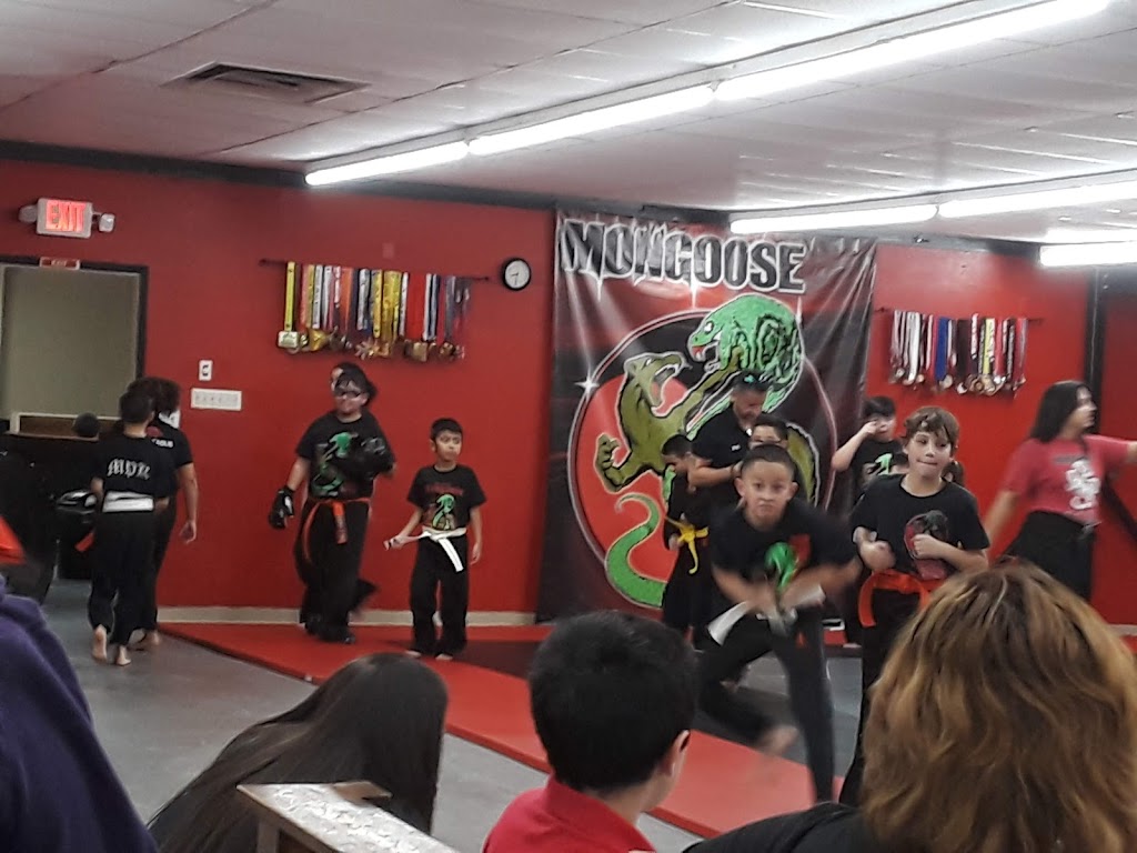 Mongoose Martial Arts | 1712 Fredericksburg Rd, San Antonio, TX 78201, USA | Phone: (210) 912-6991