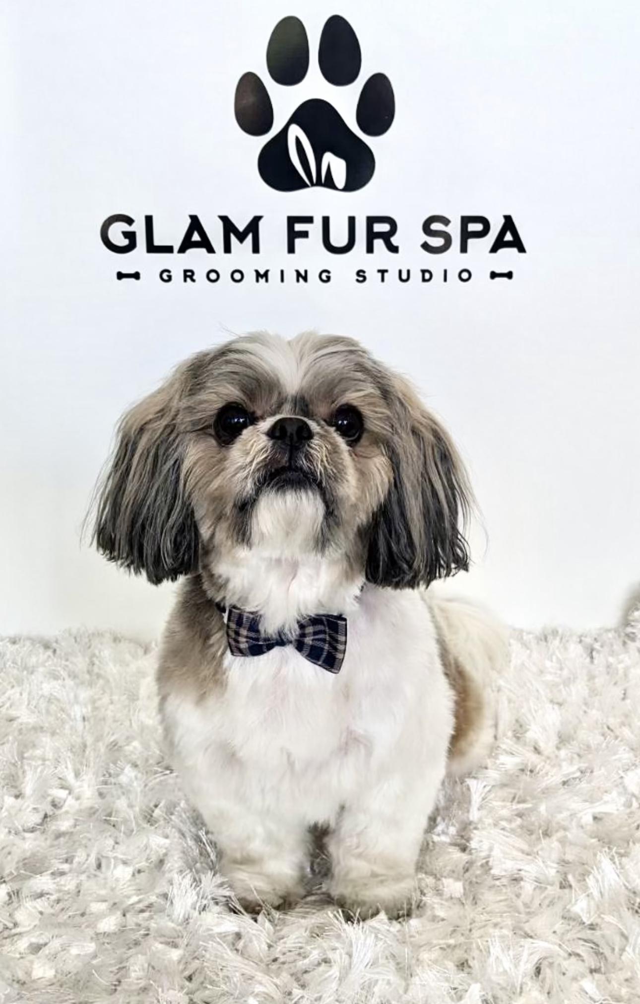 Glam fur Spa | 15418 Chatsworth St, Mission Hills, CA 91345, United States | Phone: (818) 968-5760