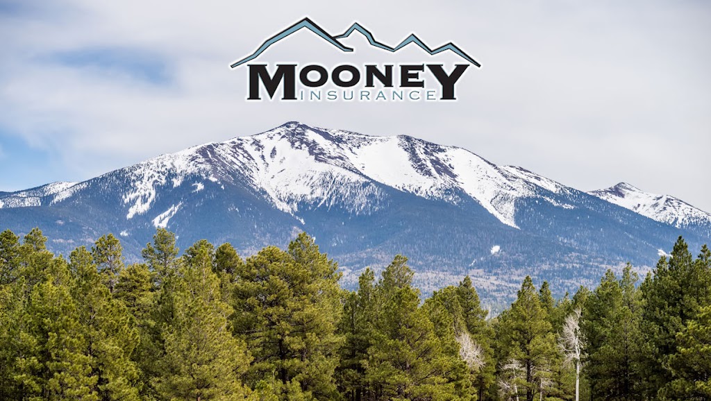 Mooney Insurance | 10501 E Seven Generations Way Ste 201-08, Tucson, AZ 85747, USA | Phone: (520) 751-0502