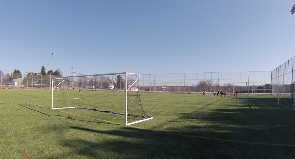 Pinnacle Sports - Fairlawn/Medina | 313 Medina Rd, Medina, OH 44256, USA | Phone: (330) 239-0616