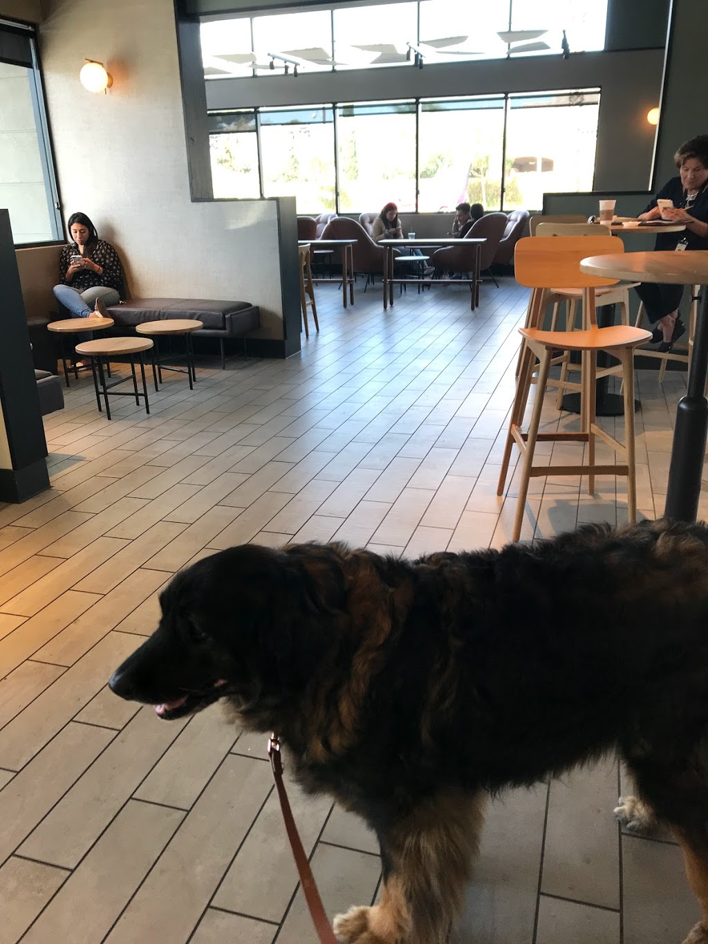 Starbucks | 1626 W Katella Ave, Anaheim, CA 92802, USA | Phone: (714) 776-0056