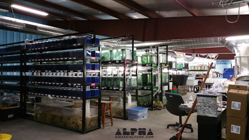 Alpha Aquaculture | 2426 Vondron Rd, Madison, WI 53718, USA | Phone: (608) 665-3361