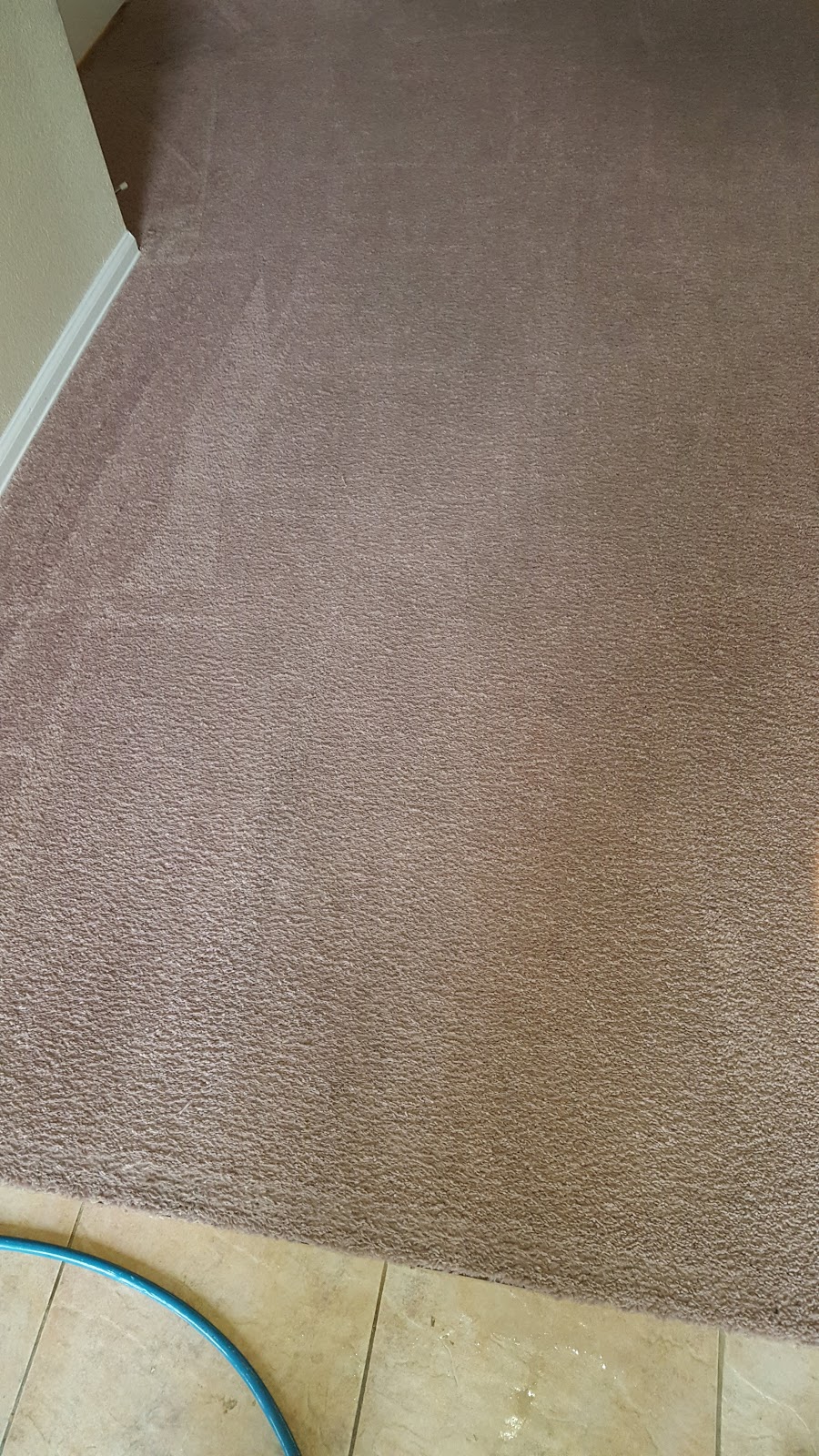 Generation Carpet cleaning and restoration | 1806 McCurdy St, Fort Worth, TX 76104, USA | Phone: (817) 793-5319