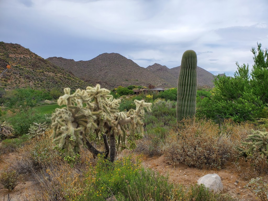 The Gallery Golf Club | 14000 N Dove Mountain Blvd, Marana, AZ 85658, USA | Phone: (520) 744-2555