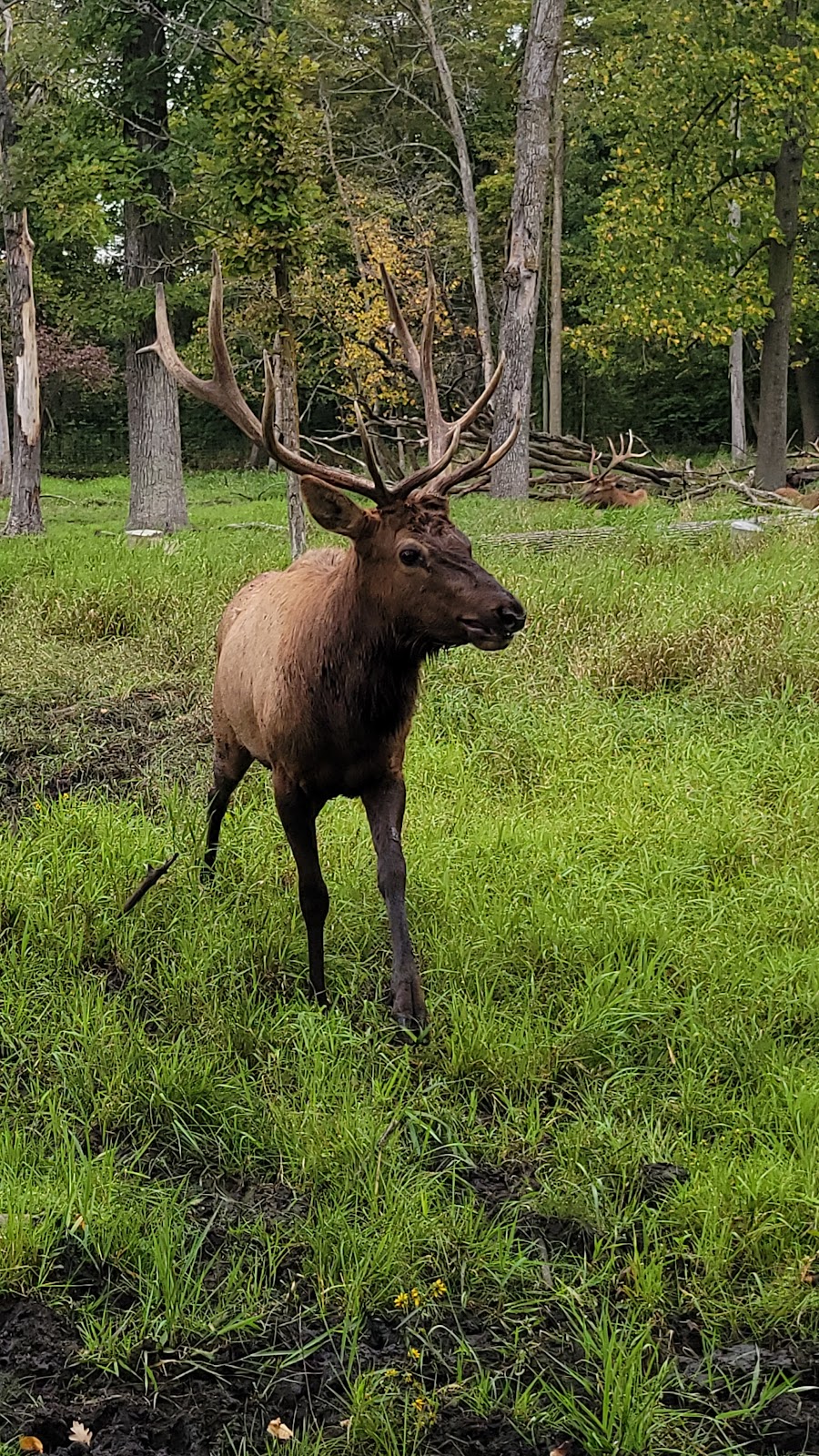 Shalom Wildlife Zoo | 1901 Shalom Dr, West Bend, WI 53090, USA | Phone: (262) 338-1310