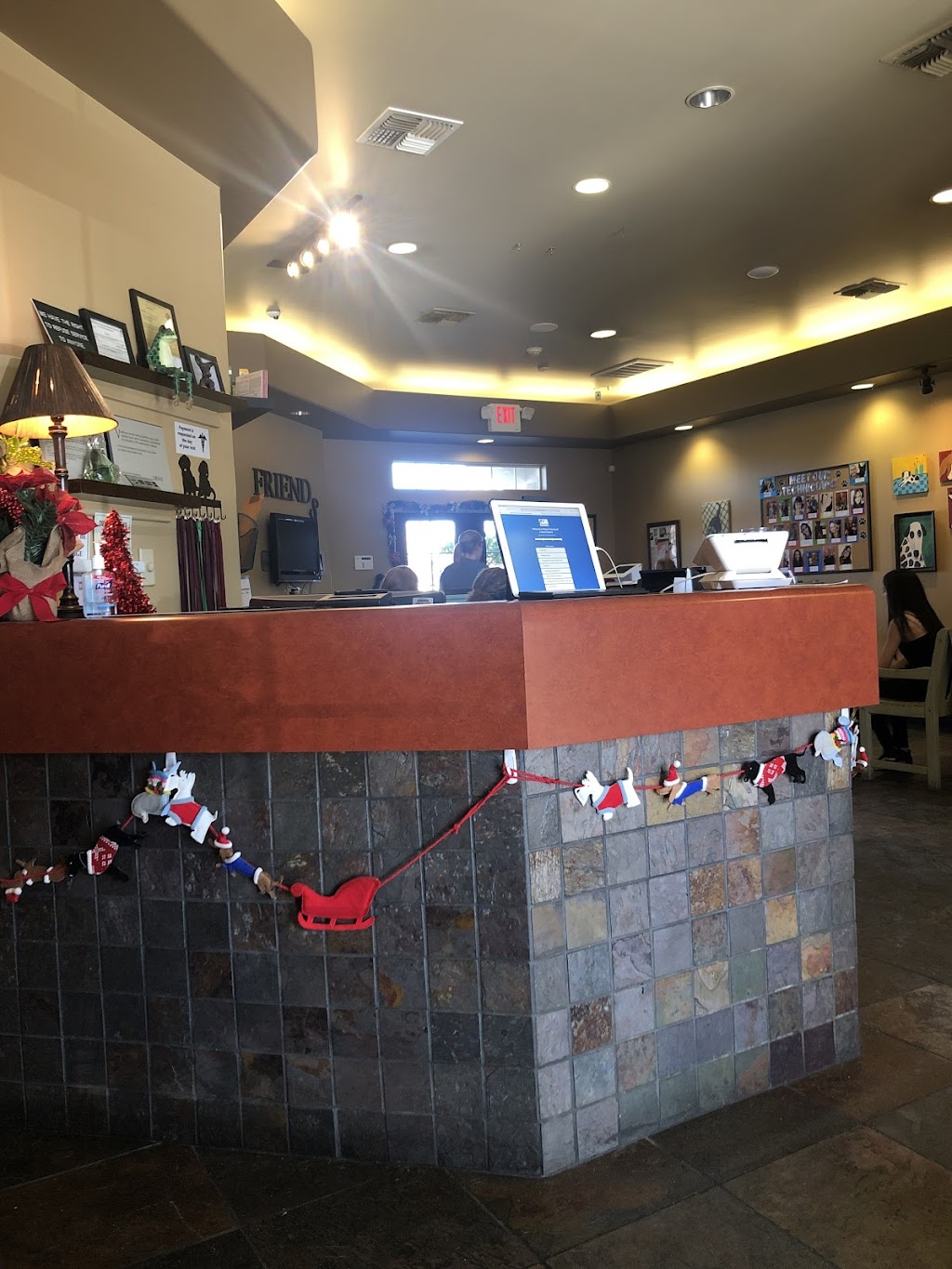 Monte Vista Small Animal Hospital | 901 E Monte Vista Ave, Turlock, CA 95382, USA | Phone: (209) 634-0023