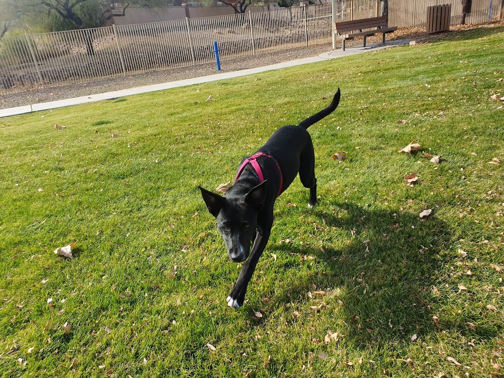 Bark Park | 15475 S Rancho Sahuarita Blvd, Sahuarita, AZ 85629, USA | Phone: (520) 207-7730
