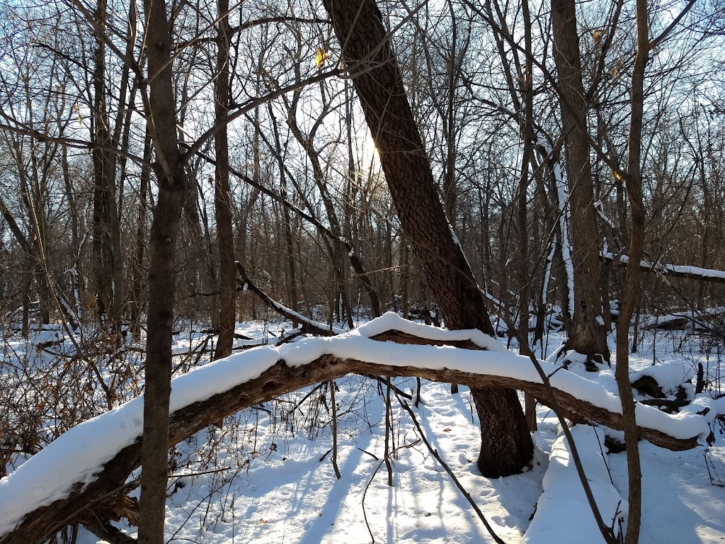 Hampton Woods Wildlife Management Area | 22000 Collier Ct, Hampton, MN 55031, USA | Phone: (651) 322-4643