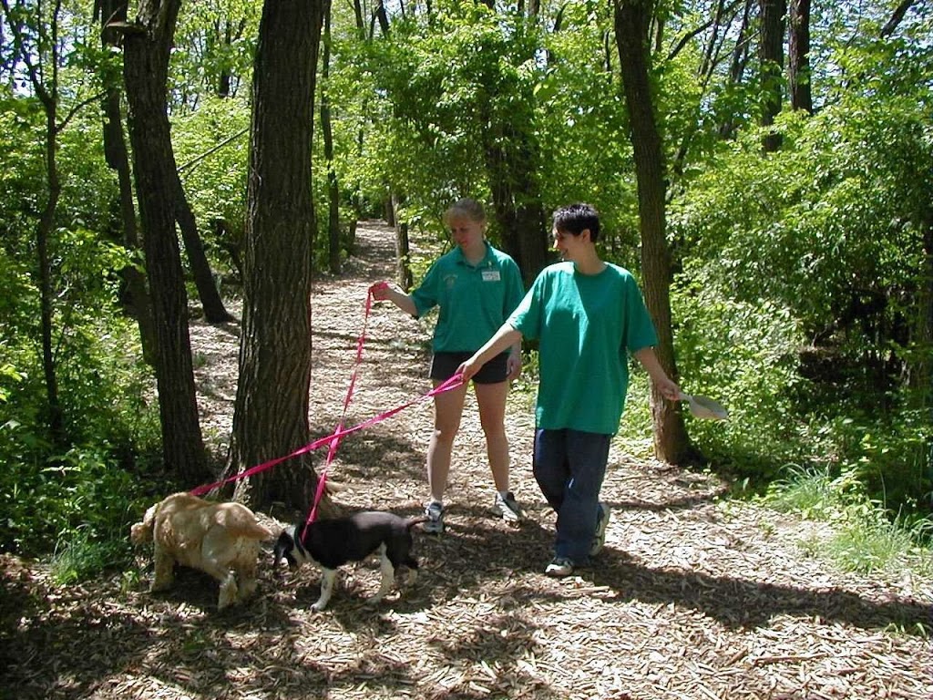 Animal Ark Pet Resort | 2150 Struble Rd, Cincinnati, OH 45231, USA | Phone: (513) 825-7387