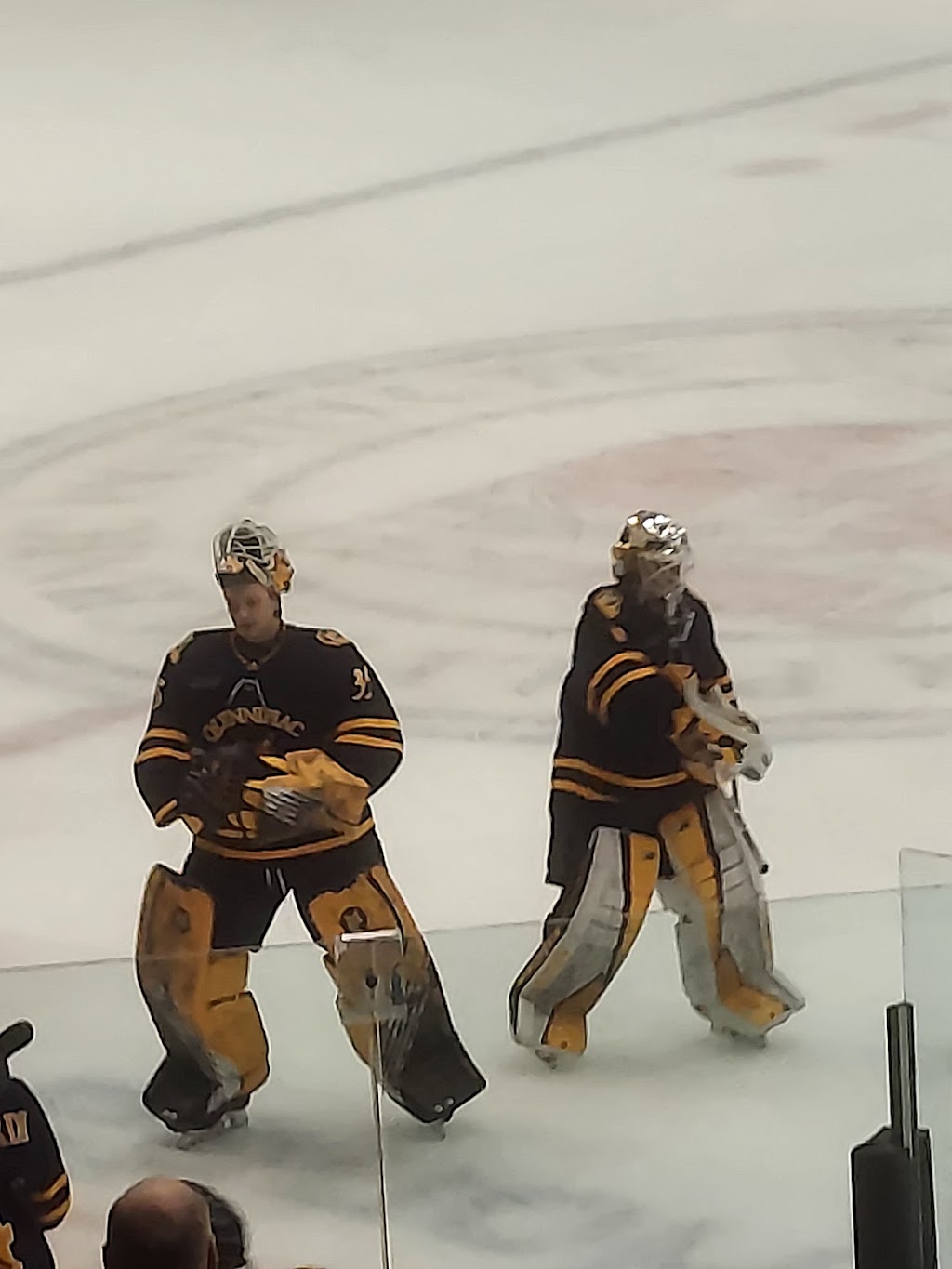 Houston Field House | 1900 Peoples Ave, Troy, NY 12180, USA | Phone: (518) 276-6262