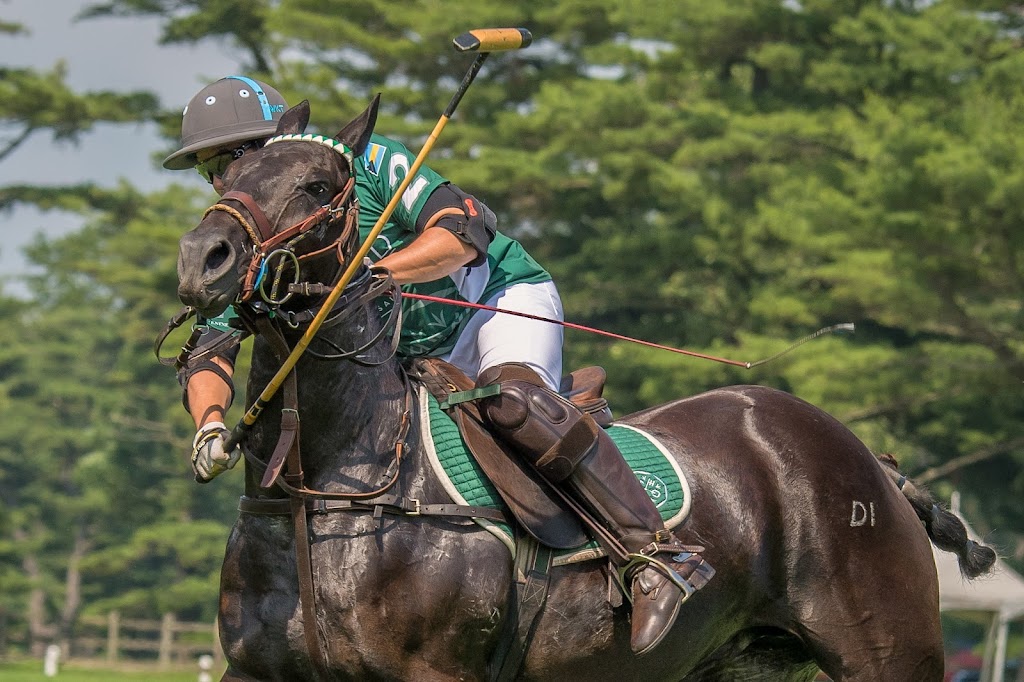 Bethpage Polo at the Park | Plainview Road &, Manchester Dr, Bethpage, NY 11714, USA | Phone: (516) 500-7656