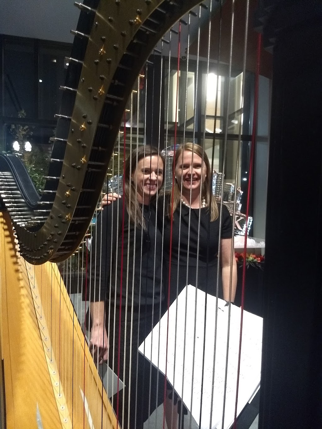 Dunford Harp | 431 S Burgundy Bay Way, Star, ID 83669, USA | Phone: (801) 541-0803