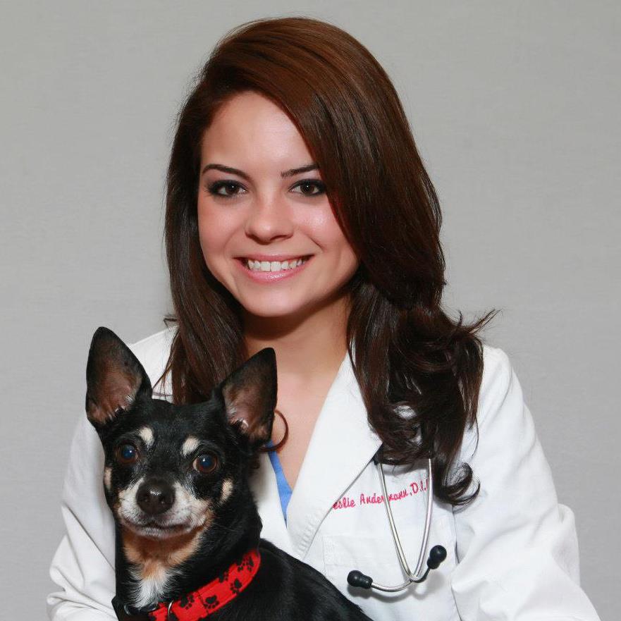 Andermann Animal Clinic | 3200 S Burnside Ave, Gonzales, LA 70737 | Phone: (225) 647-7297