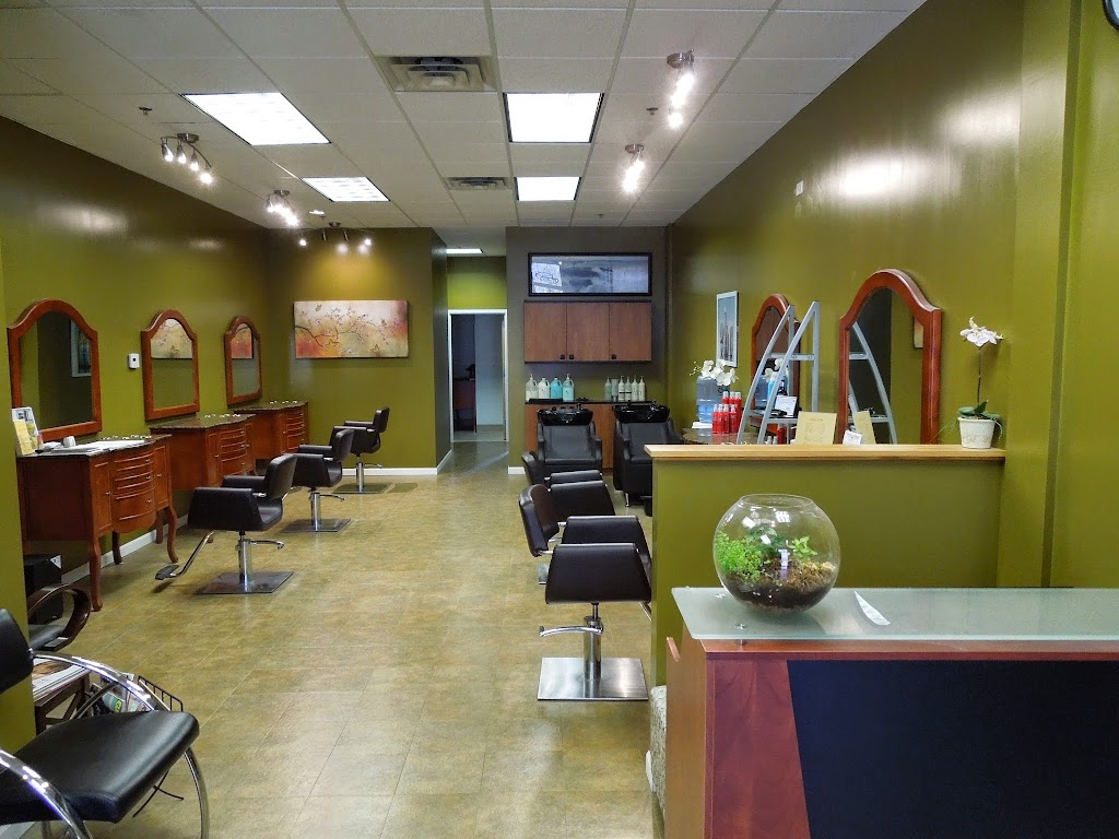 Caseys Salon | 9692 63rd Ave N, Maple Grove, MN 55369, USA | Phone: (763) 443-6765