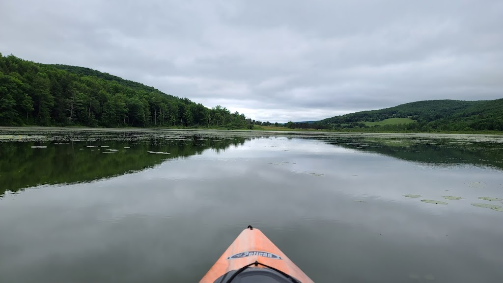 Franklinton Vlaie Wildlife Management Area | Middleburgh, NY 12122, USA | Phone: (607) 652-2302
