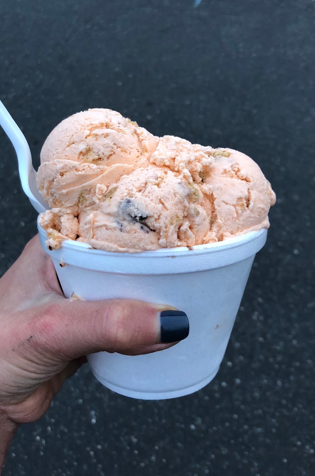 Four Boys Ice Cream | 81 Main St, Farmingdale, NJ 07727, USA | Phone: (732) 256-4633