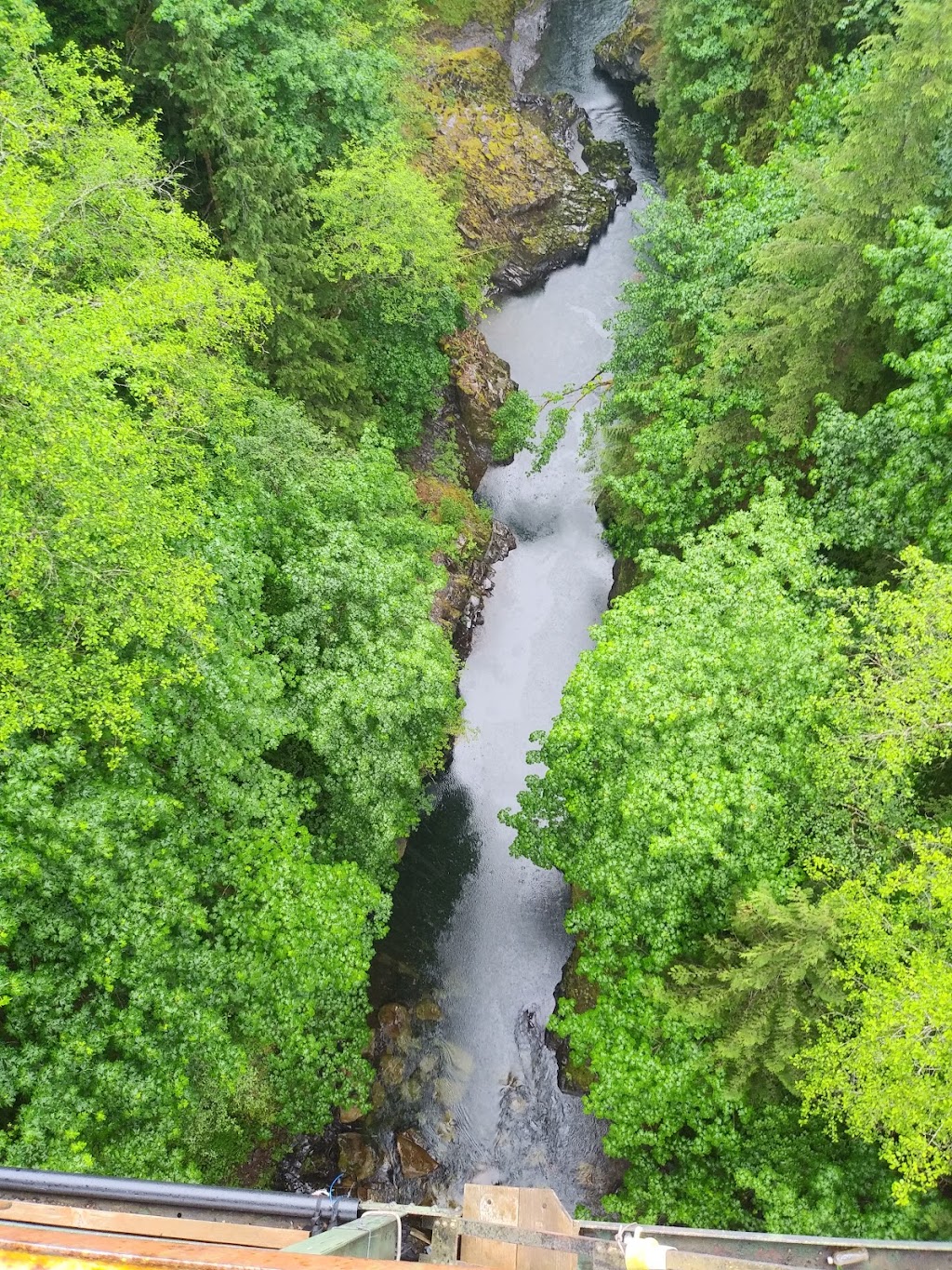 ZiplineX Zip Line Tours | 32016 NE Healy Rd, Amboy, WA 98601, USA | Phone: (503) 520-0303