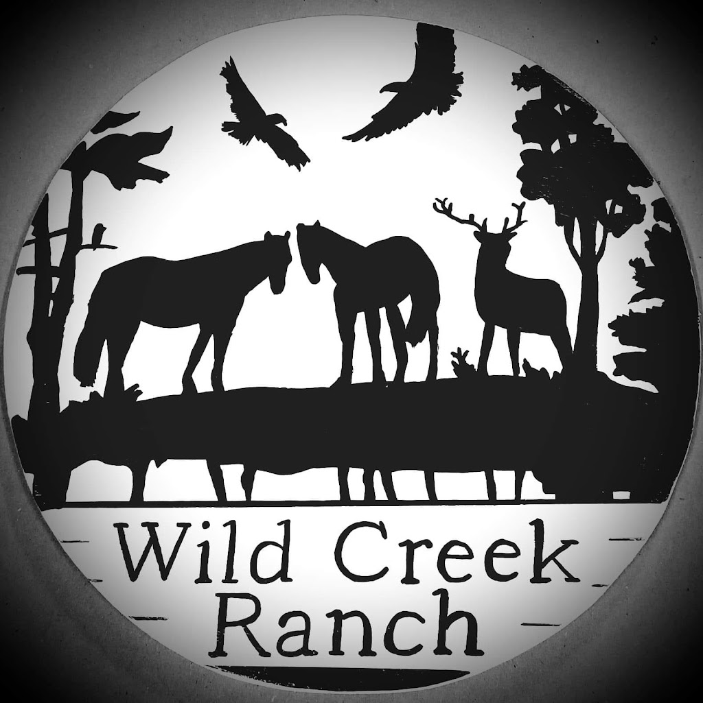 Wild Creek Ranch | 370 Ridge Rd, Covington, GA 30016, USA | Phone: (404) 960-1224