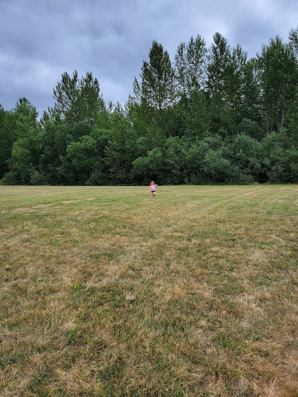 South Hill Community Park | 14201 86th Ave E, Puyallup, WA 98373, USA | Phone: (253) 798-4049