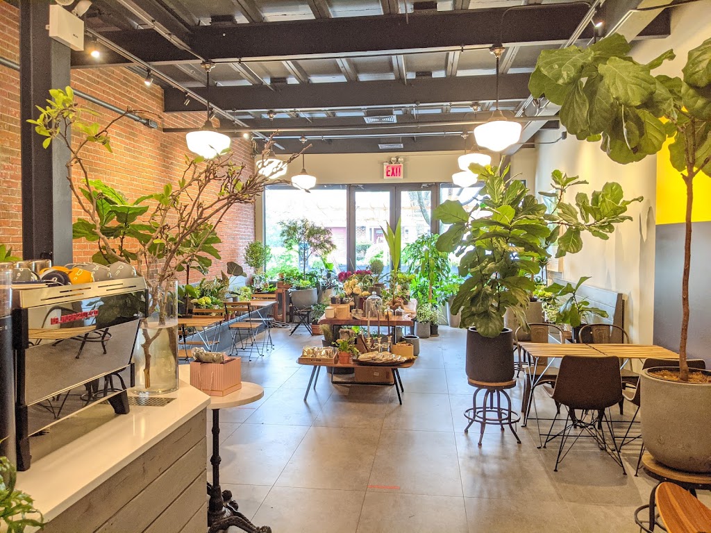Kunst Coffee Haus | 212-08 41st Ave, Bayside, NY 11361, USA | Phone: (718) 819-8516