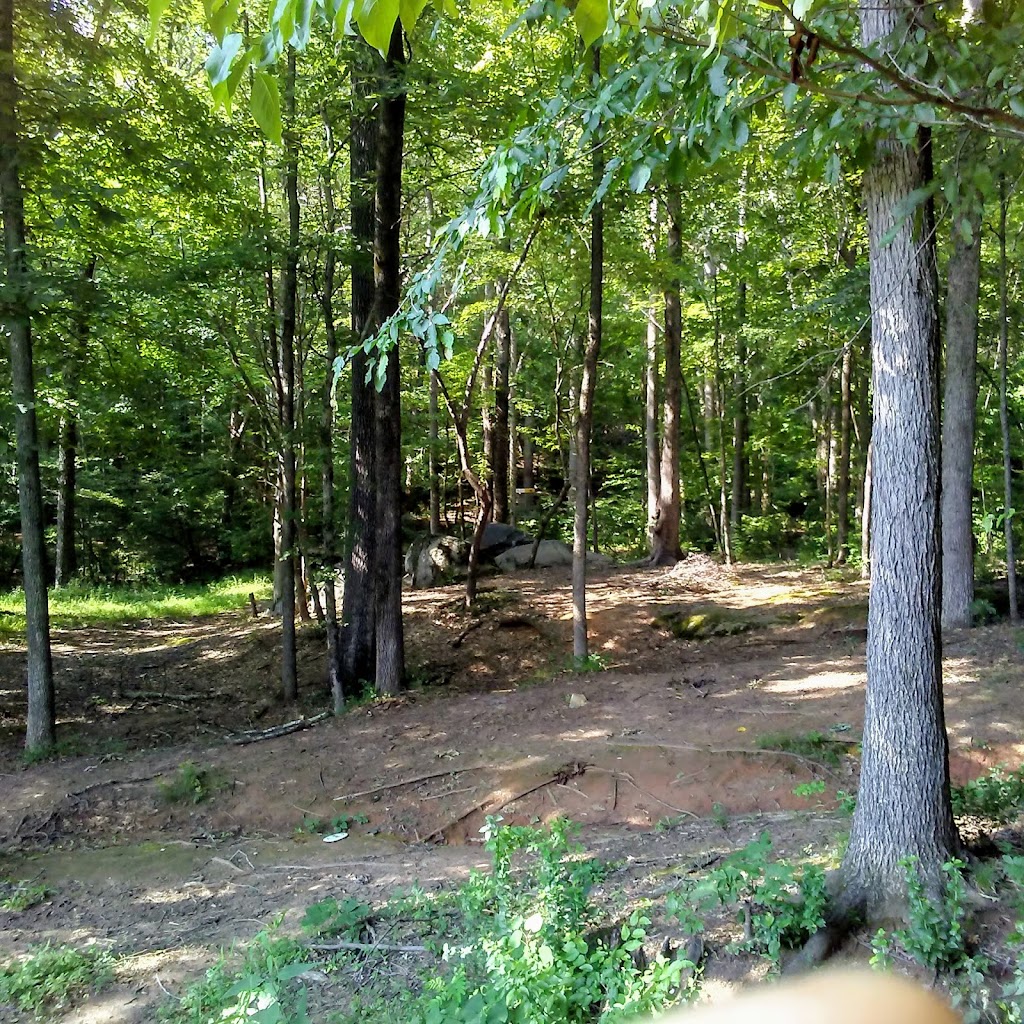 Renaissance Disc Golf Park - Gold | 1200 W Tyvola Rd, Charlotte, NC 28217, USA | Phone: (980) 314-1003