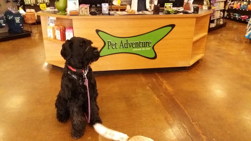 Pet Adventure | 22803 44th Ave W, Mountlake Terrace, WA 98043, USA | Phone: (425) 771-0676