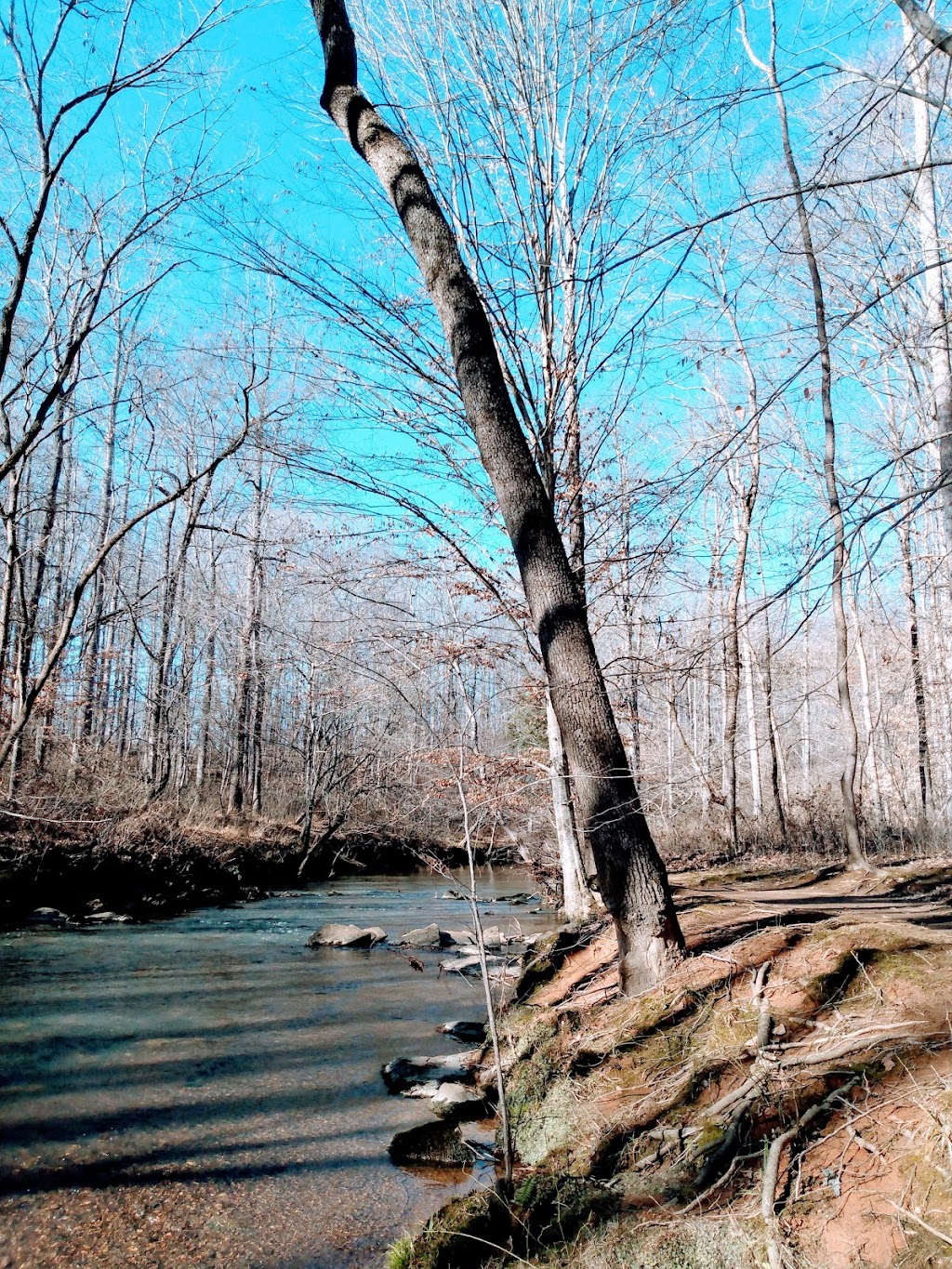 Seven Mile Creek Natural Area | 2201 Moorefields Rd, Hillsborough, NC 27278, USA | Phone: (919) 245-2660