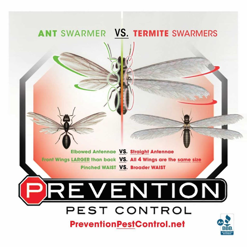 Prevention Pest Control | 321 Ensemble Dr, Cuyahoga Falls, OH 44223, USA | Phone: (234) 571-1203