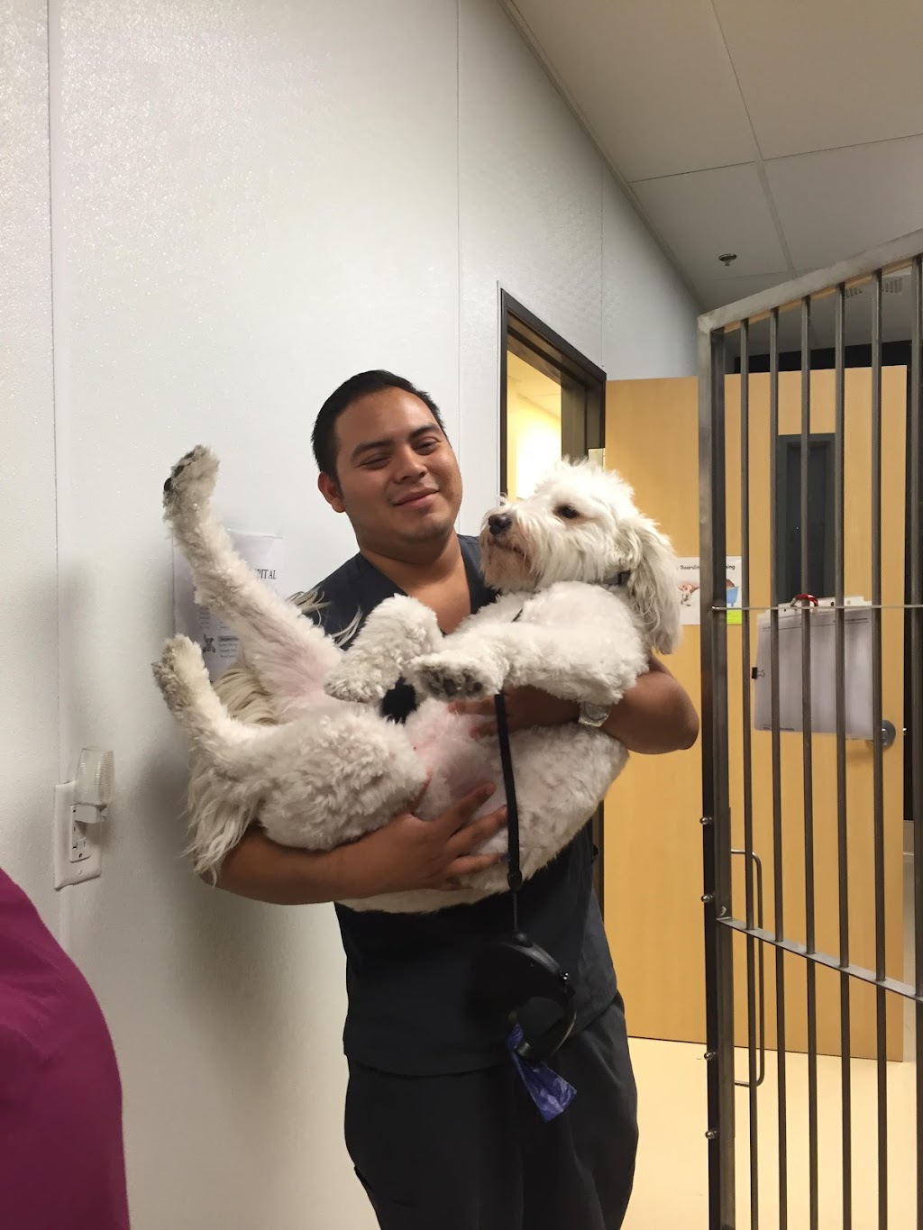 Southern Hills Animal Hospital | 6545 S Fort Apache Rd # 150, Las Vegas, NV 89148, USA | Phone: (702) 586-1300