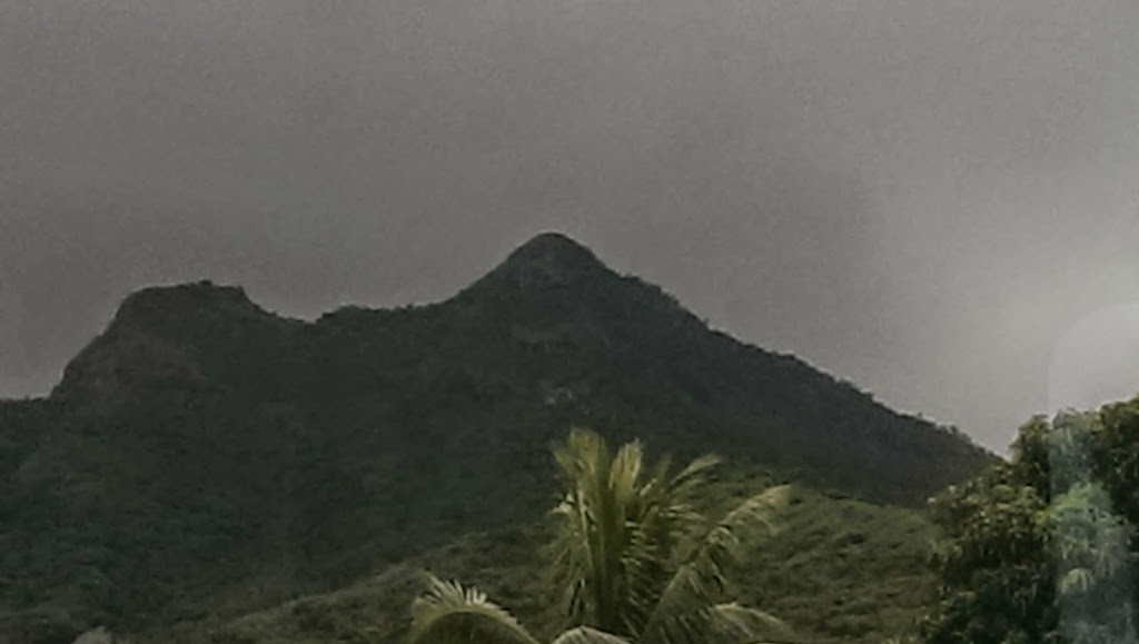 Kaelepulu Wetland Bird Preserve | 1460 Kiukee Pl, Kailua, HI 96734, USA | Phone: (808) 261-2179